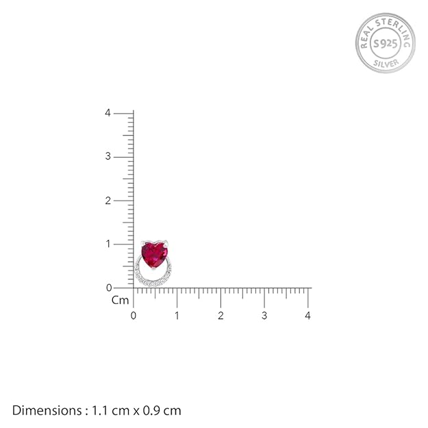 925 Silver Perfect Earrings| Gift for Girlfriend | With Certificate of Authenticity and 925 Stamp