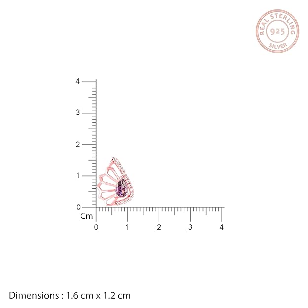 GIVA 925 Silver Rose Gold Notre Dame Earrings | Gifts for Girlfriend, Gifts for Women and Girls | With Certificate of Authenticity and 925 Stamp | 6 Month Warranty* : Amazon.in: Jewellery